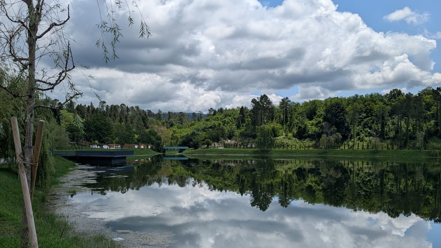 Kulturní rozdíly, Rustaveli